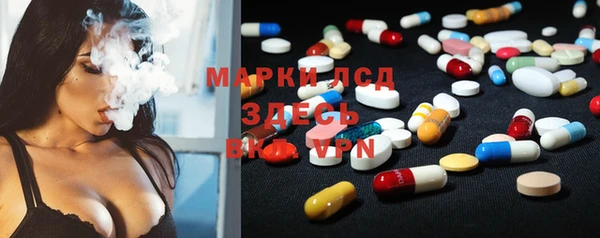 эйфоретик Новодвинск