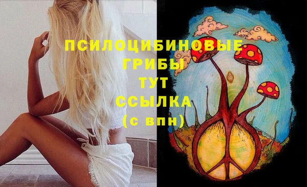 экстази Козельск